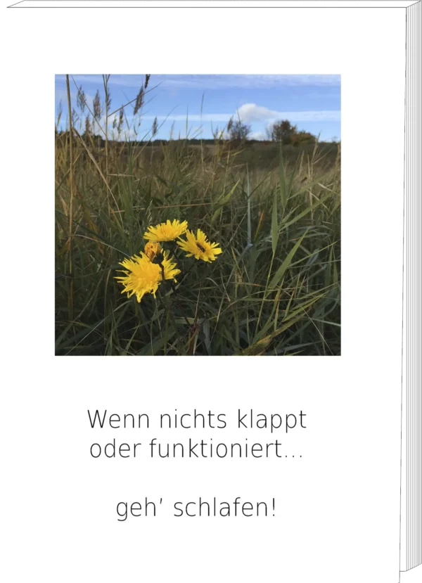 Gedankenzettel | "Wenn nichts klappt oder funktioniert..."